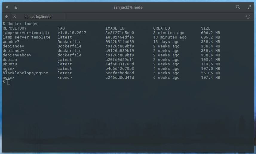 Our newly tagged image, ready to be pushed to Docker Hub Our newly tagged image, ready to be pushed to Docker Hub